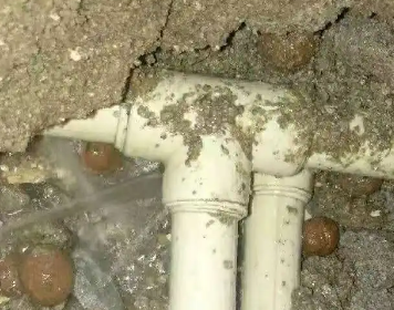 滨江测漏水多少钱