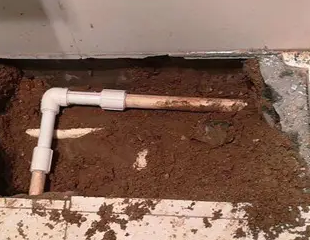 滨江测漏水哪家好