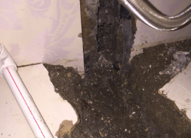 滨江卫生间测漏水哪家好