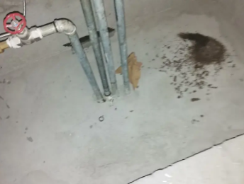 滨江卫生间测漏水价格明细