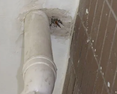 滨江漏水检测哪家好